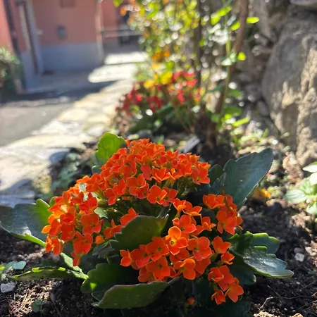 La Casa Di Biancaneve