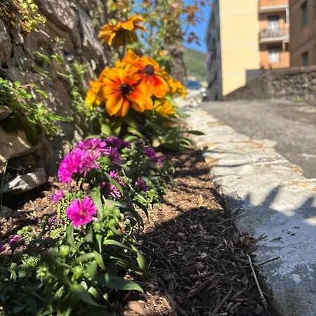 La Casa Di Biancaneve شقة *