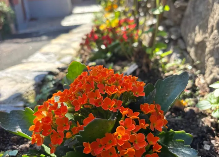 La Casa Di Biancaneve